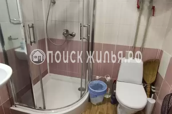 «Звездный берег» «Звездный берег»