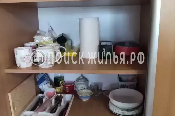 «Звездный берег» «Звездный берег»