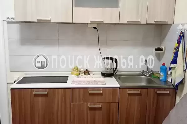 «Звездный берег» «Звездный берег»