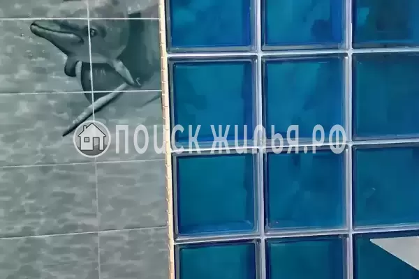 «Звездный берег» «Звездный берег»