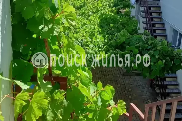 «На Тельмана» «На Тельмана»