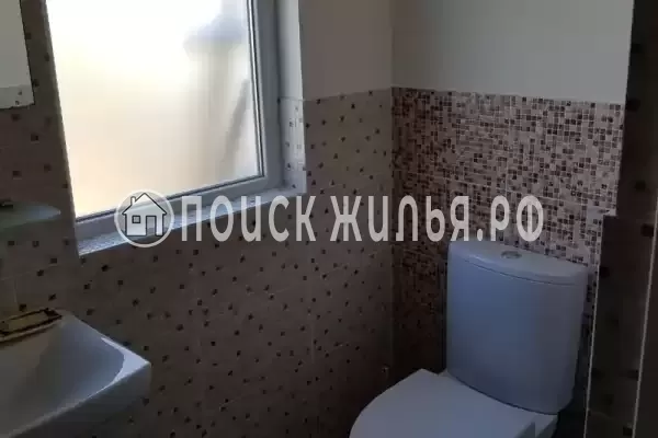 «Кактус» «Кактус»