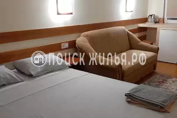 «Кактус» «Кактус»