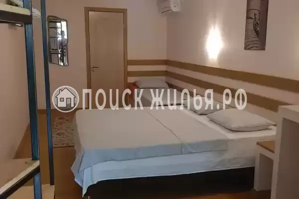 «Кактус» «Кактус»