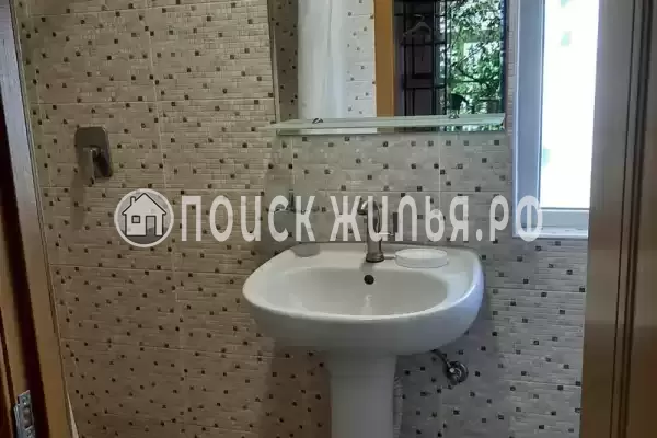 «Кактус» «Кактус»