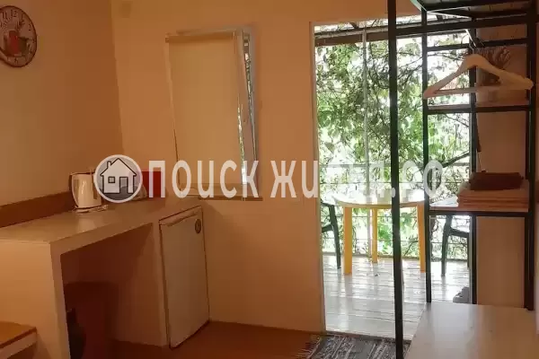 «Кактус» «Кактус»