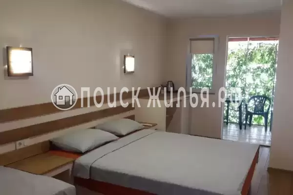 «Кактус» «Кактус»