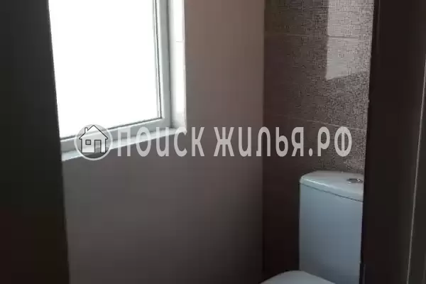 «Кактус» «Кактус»