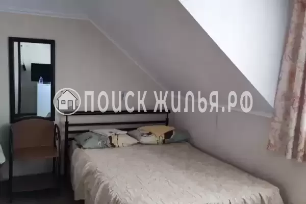 «Живой уголок» «Живой уголок»