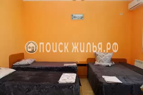 «София» «София»