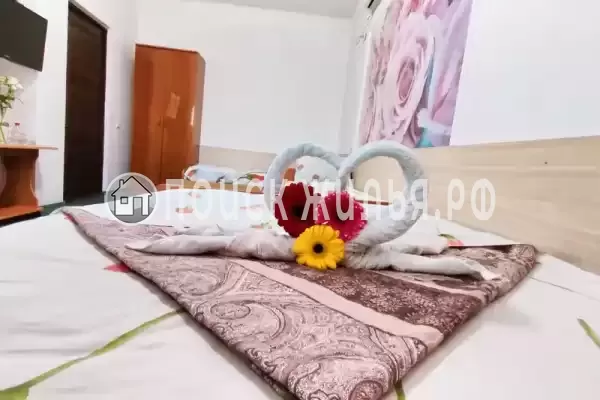 «Homely Hotel» «Homely Hotel»