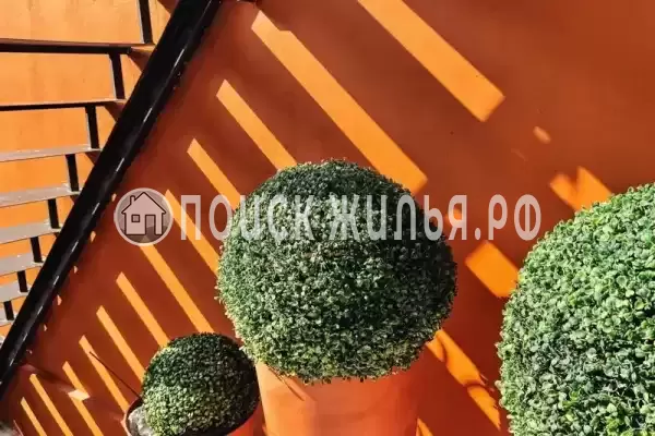 «На Самшитовой»