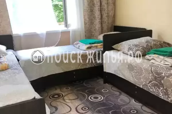 «Лесная сказка»