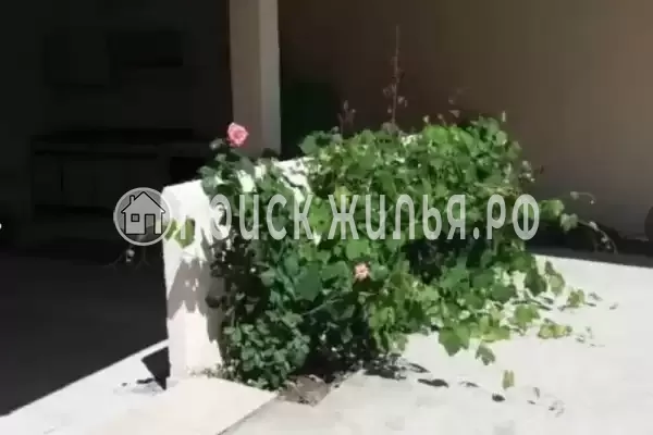 Гостевой дом «У Натальи»