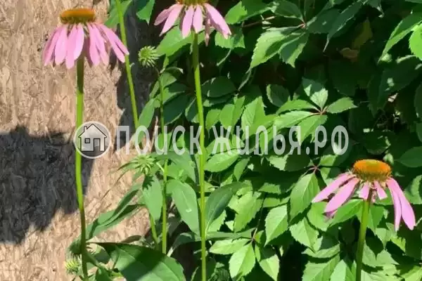 Дом под ключ «Тихий уголок»