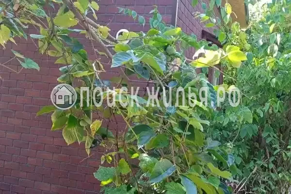 Дом под ключ, Главная, д.59 Дом под ключ, Главная, д.59