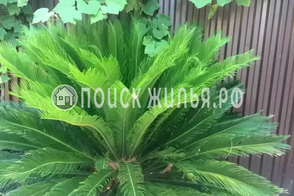 Частный сектор «Двухэтажный дом»