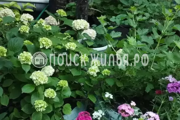 «До-Ре-Ми» «До-Ре-Ми»