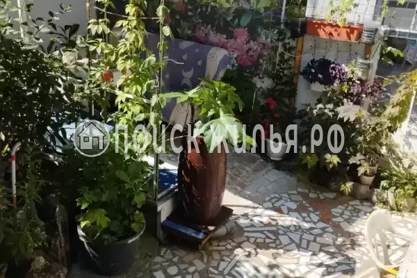 «До-Ре-Ми» «До-Ре-Ми»