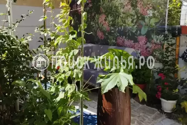 «До-Ре-Ми» «До-Ре-Ми»