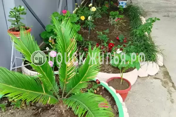 Отель «Ахимса»