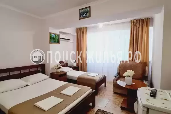 «Золотой Лев»