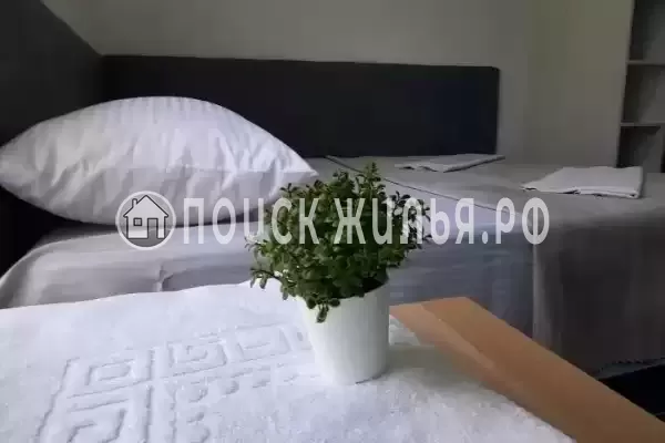 «Оазис» «Оазис»