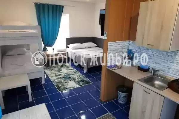 «Оазис» «Оазис»