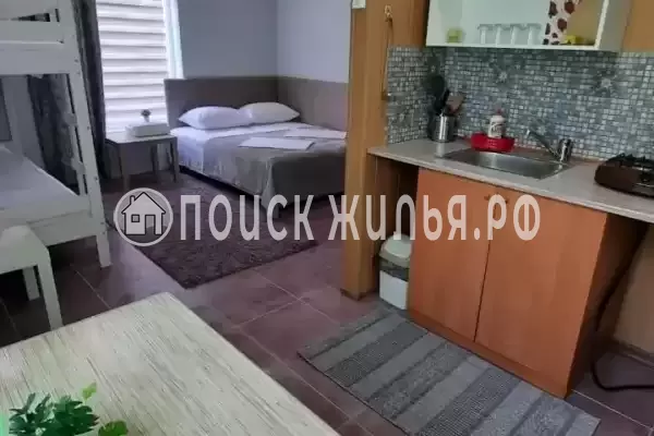 «Оазис» «Оазис»