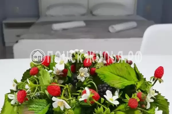 «Оазис» «Оазис»