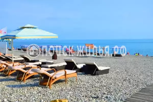 «Мадагаскар»