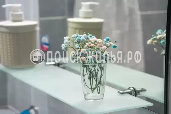 «Мадагаскар»