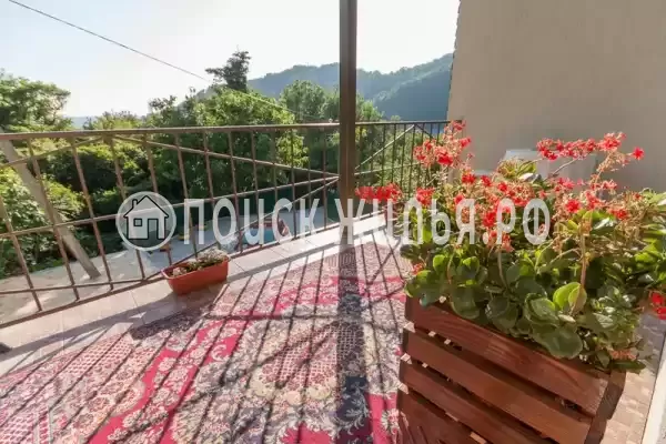 «Анжелика»