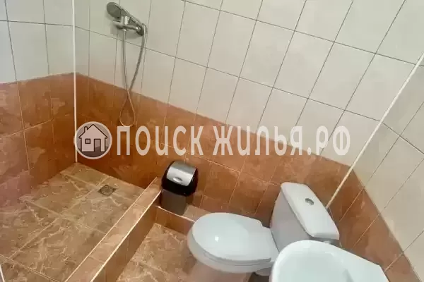 «Арина» «Арина»