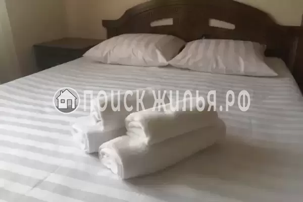 «Виноградная лоза»