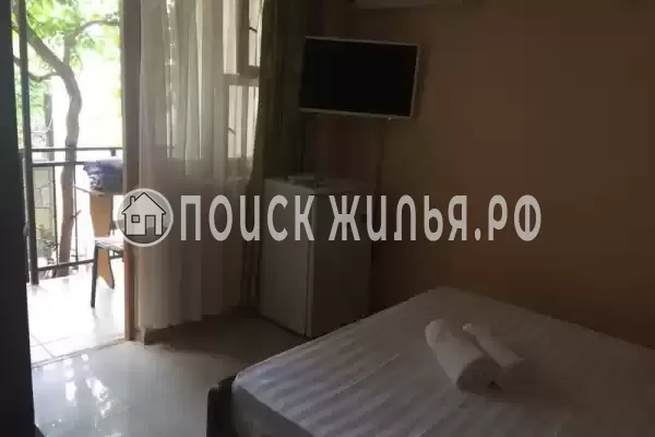 «Виноградная лоза»