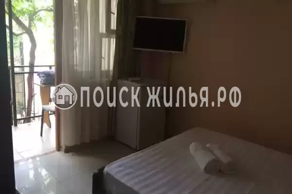 «Виноградная лоза»