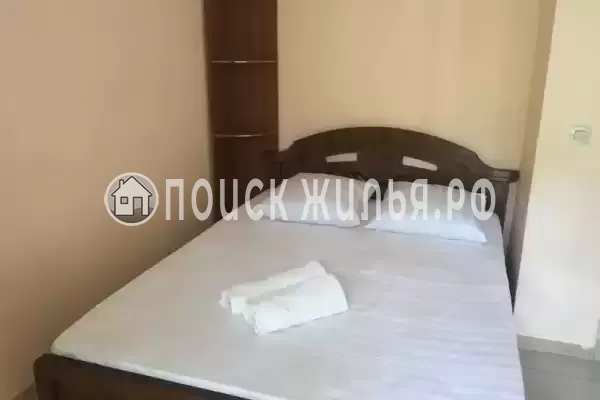 «Виноградная лоза»