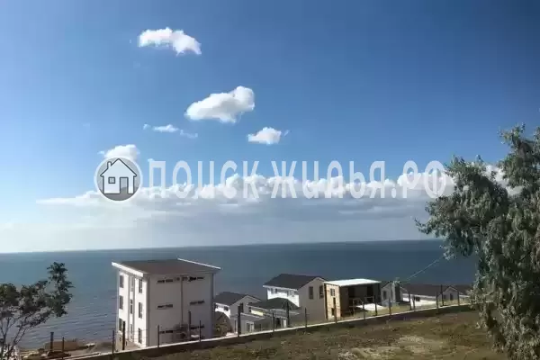 «Black_Bull_House»