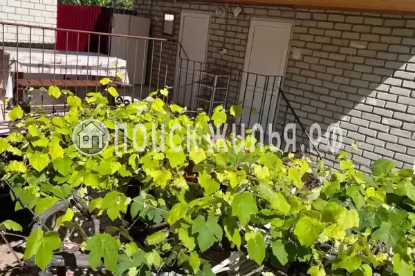 «На Самбурова»