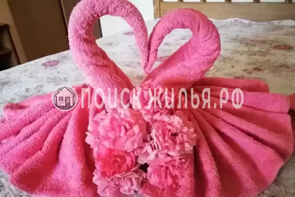 «Александрия» «Александрия»