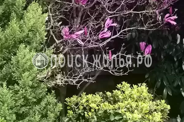 «Итинисан» «Итинисан»