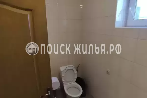 «Кипарис» «Кипарис»