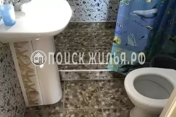 «Талисман» «Талисман»