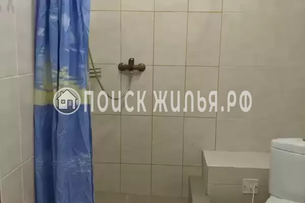 «Арена» «Арена»