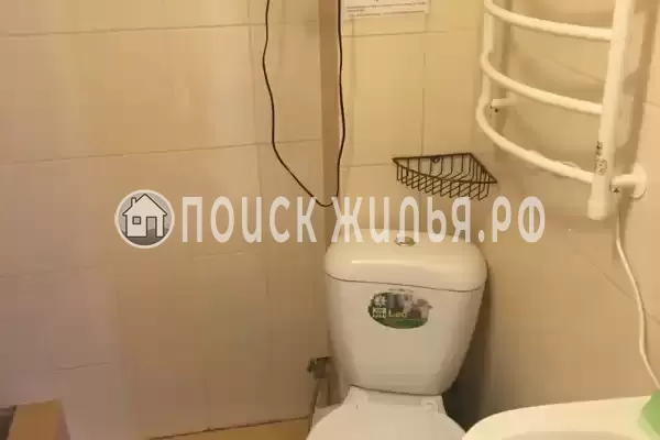 «Арена» «Арена»