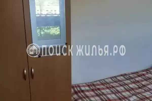 «Ореховая роща»