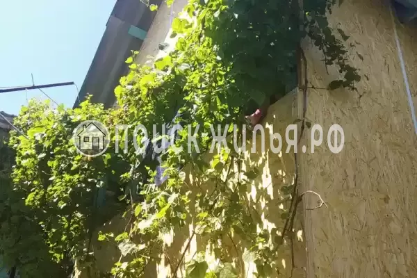 «Ореховая роща»