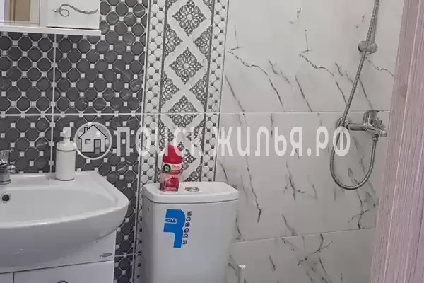 «Алина» «Алина»