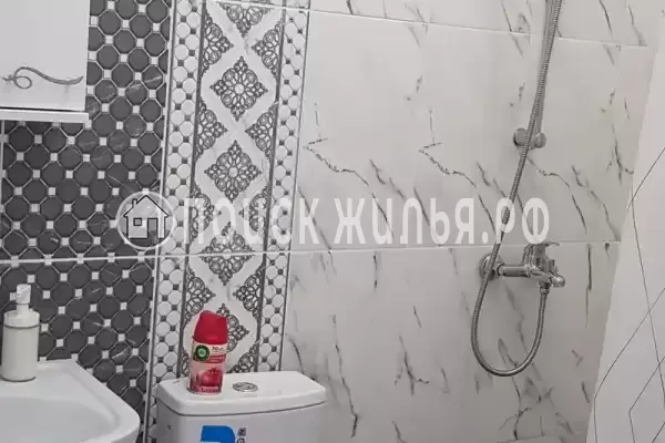 «Алина» «Алина»